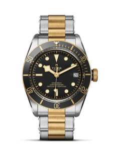 Tudor steel and gold