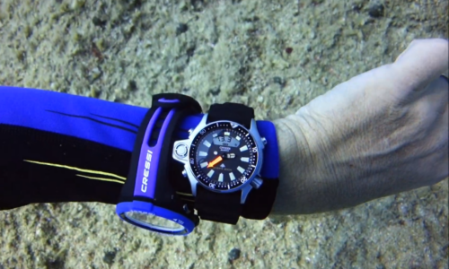 Citizen JP2000 Aqualand