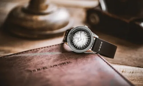 Rado Captain Cook Over-Pole