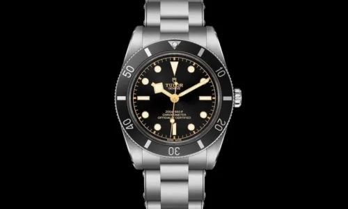 Tudor Black Bay 54