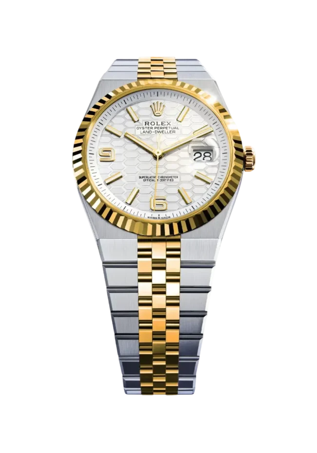 Land-Dweller: la collezione più giovane potrebbe crescere